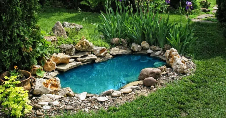Ile kosztuje budowa oczka wodnego? Poznaj ukryte wydatki i oszczędności